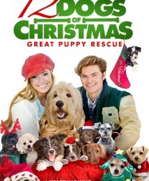 Utah Dog Training: The 12 Dogs of Christmas Great Puppy Rescue